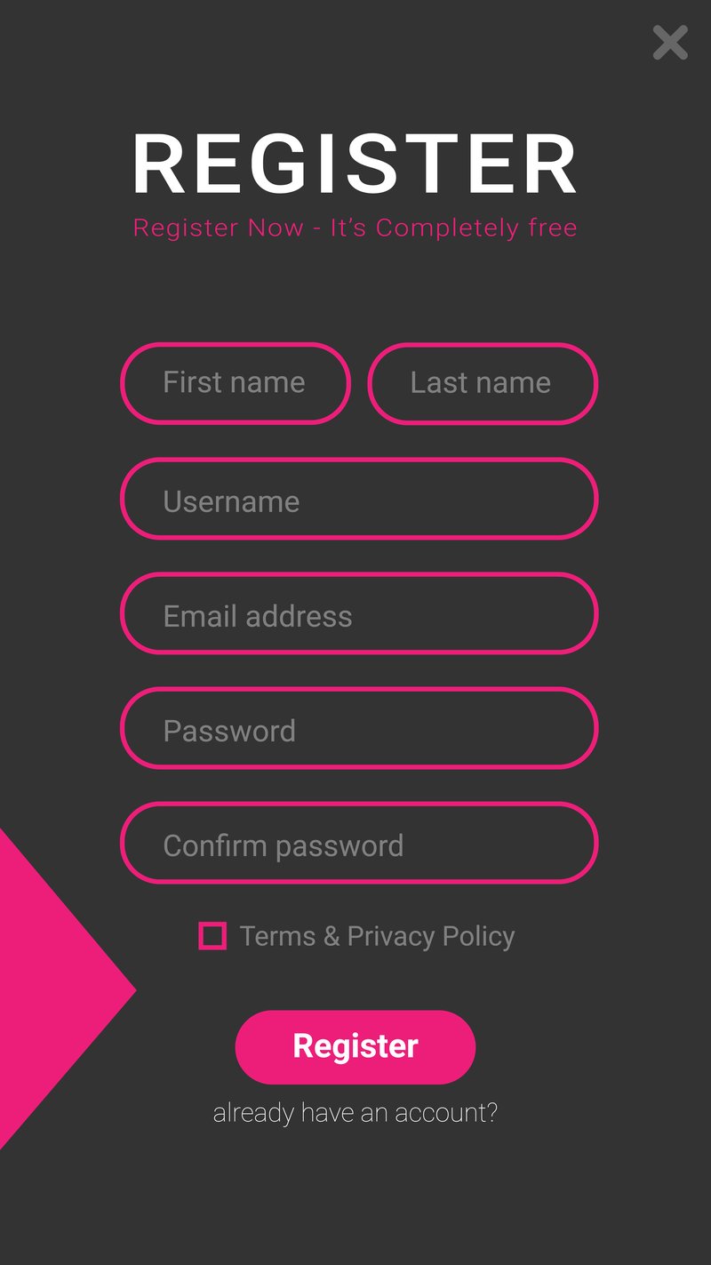Overview of fortunica official website